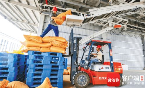 海南洋浦 澳斯卡國際糧油加工廠主生產線試生產